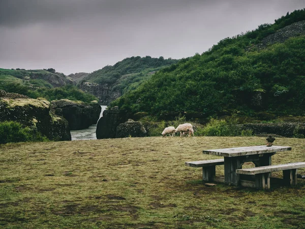 Islandia - foto de stock