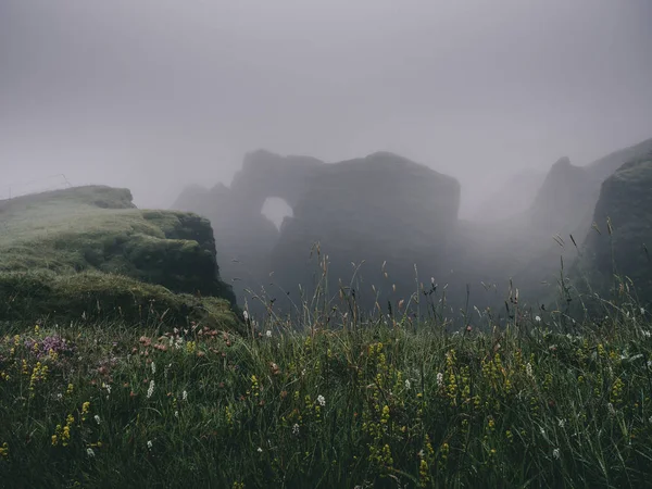 Grass — Stock Photo