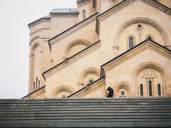 Chien près de cathédrale — Photo de stock