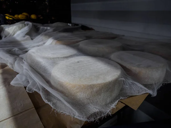 Vue rapprochée des rouleaux de fromage sur papier sulfurisé — Photo de stock