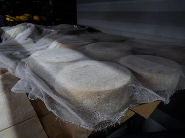 Vista de cerca de rollos de queso sobre papel de hornear - foto de stock