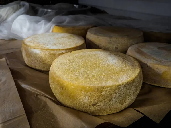 Vista de perto de rolos de queijo no papel manteiga — Fotografia de Stock