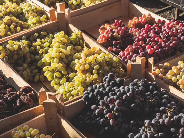 Uvas — Fotografia de Stock