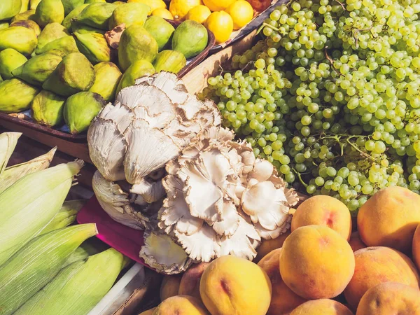 Frutos e produtos hortícolas — Fotografia de Stock