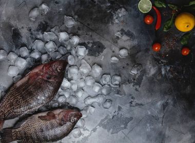 taze çiğ deniz balık üstten görünüm buz küpleri ile limon, limon, baharat ve kiraz domates Grey 