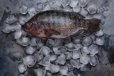 taze çiğ deniz balık üstten görünüm buz küpleri Grey 