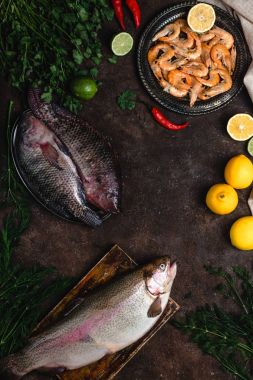 karanlık masa üstü üzerinde çiğ balık, chili biber, karides, limon ve masa örtüsü otlar Üstten Görünüm    