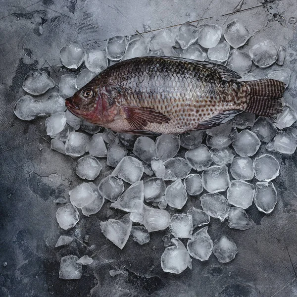 Top View Fresh Raw Fish Ice Cubes Grey — Stock Photo, Image