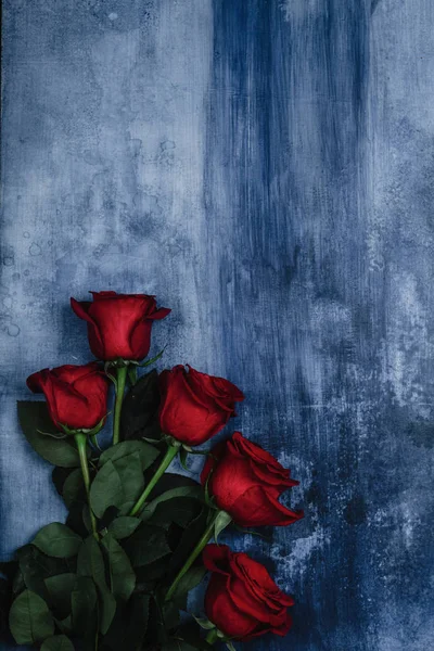 Roses — Stock Photo, Image