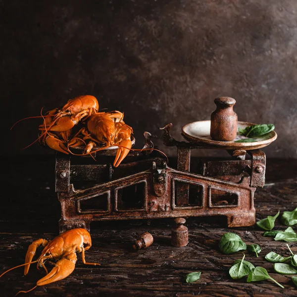 Frutti di mare — Foto stock