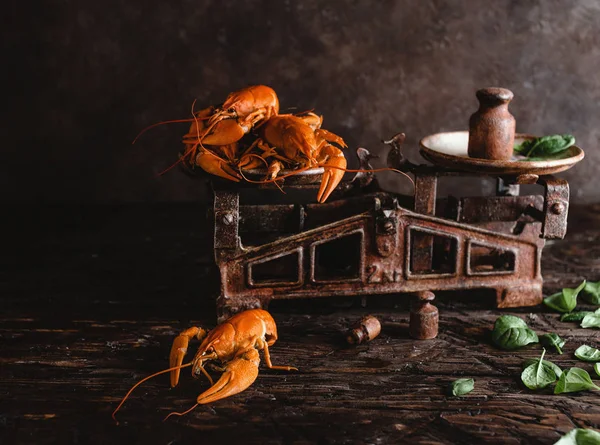 Close-up view of delicious lobsters on vintage scales and basil leaves on rustic wooden table — Stock Photo