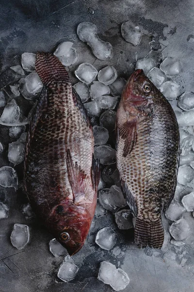 Vue de dessus des poissons de mer crus sur les glaçons sur gris — Photo de stock