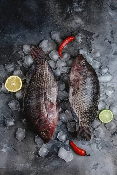 Морепродукти — Stock Photo