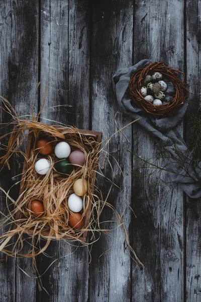 Eier im Nest — Stockfoto