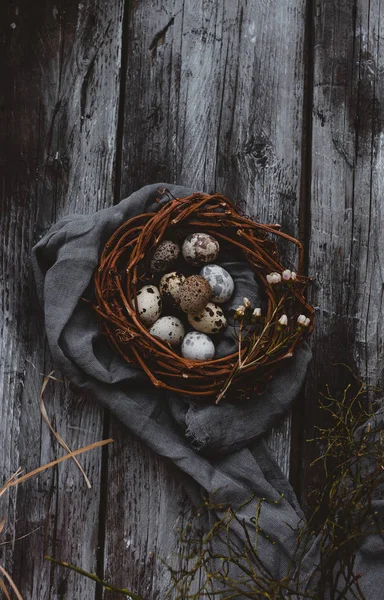 Huevos de codorniz - foto de stock