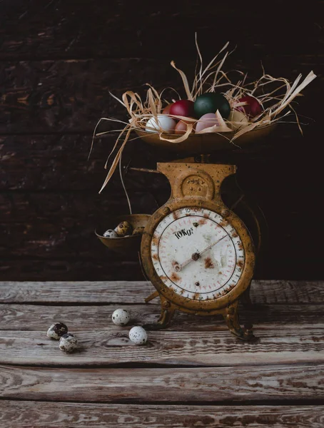 Quail eggs — Stock Photo