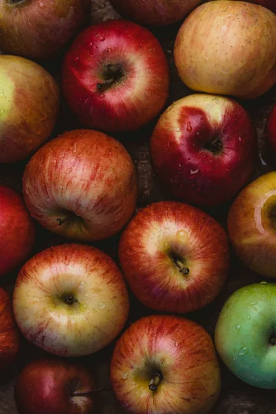 Apples — Stock Photo