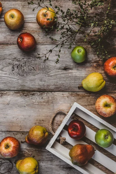 Poires et pommes — Photo de stock