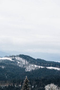 Karlı dağlarla güzel kış manzarası