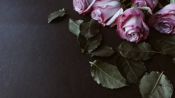 Hermoso Ramo Rosas Rosadas Sobre Fondo Negro — Foto de Stock