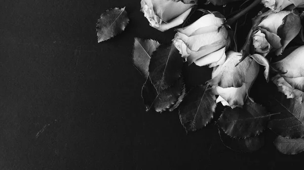 Beautiful Roses Bouquet Black Background Black White — Stock Photo, Image