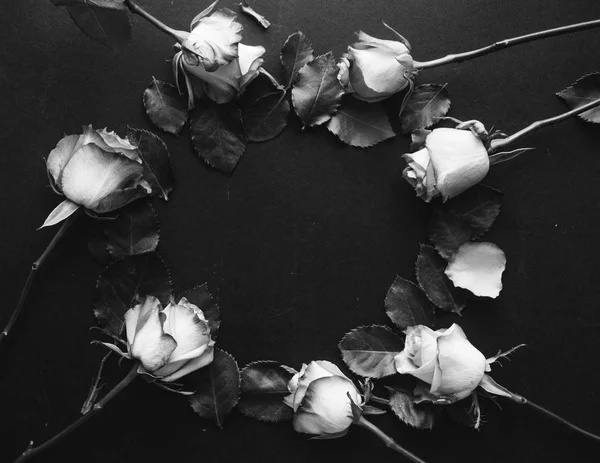 Frame Beautiful Roses Bouquet Black Background Black White — Stock Photo, Image