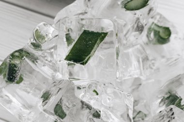 buz küpleri içinde closeup donmuş aloe ile 
