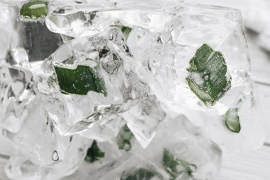 buz küpleri içinde closeup donmuş aloe ile 