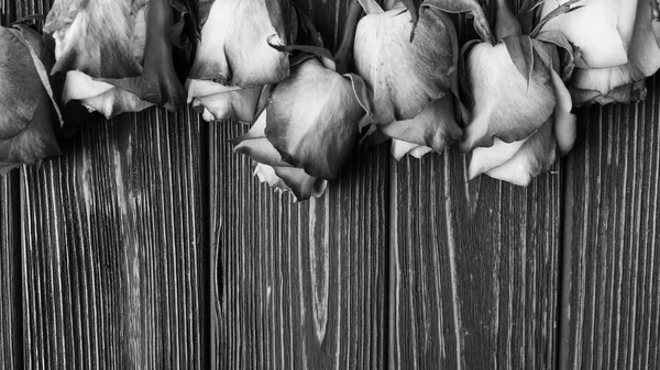 Beautiful Roses Wooden Planks Background Black White — Stock Photo, Image