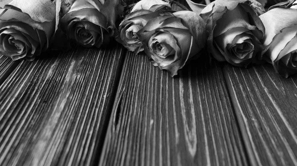 Belles Roses Sur Fond Planches Bois Noir Blanc — Photo