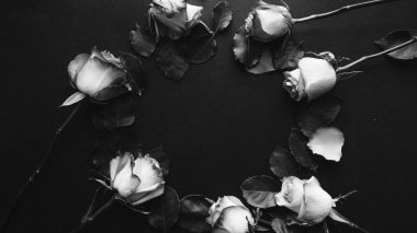 çerçeve güzel gül siyah arka plan, siyah ve beyaz üzerine yuvarlak