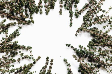 Beyaz arka plan üzerinde izole yeşil aromatik otlar yuvarlak çerçeve