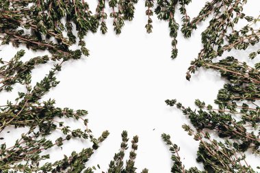 Beyaz arka plan üzerinde izole yeşil aromatik otlar yuvarlak çerçeve