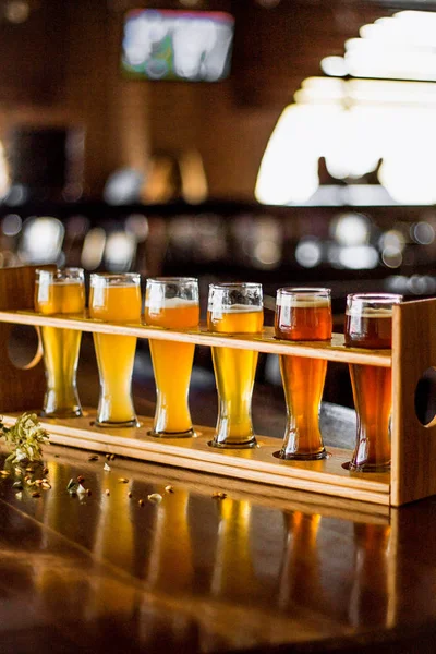 Set Bicchierini Con Birra Sul Bancone Del Bar Degustazione — Foto Stock