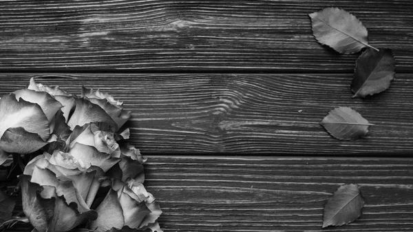 木製の板の背景 黒と白の美しいバラの花 — ストック写真