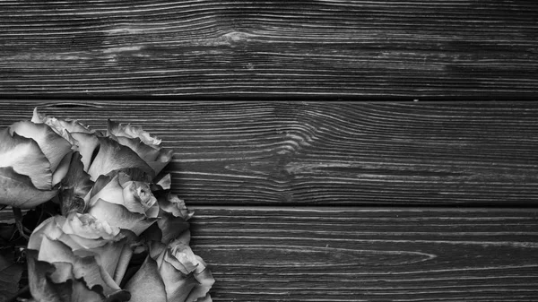 Beautiful Roses Wooden Planks Background Black White — Stock Photo, Image