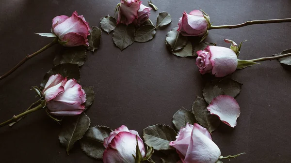 Runder Rahmen Aus Schönen Rosa Rosen Auf Schwarzem Hintergrund — Stockfoto