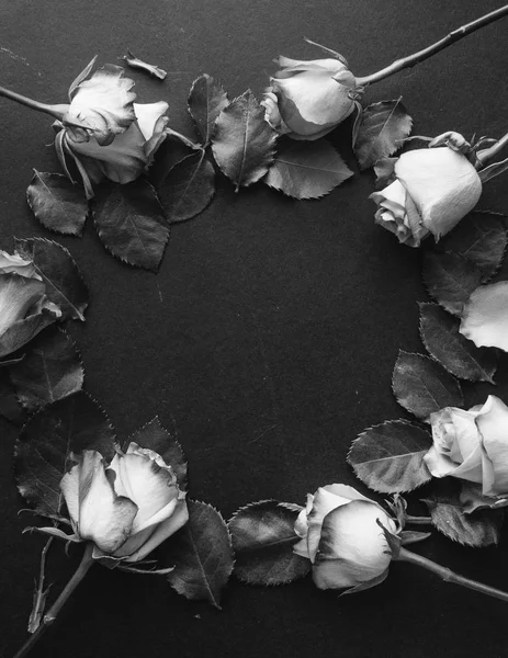 黑色背景的美丽玫瑰圆框架 黑白相间 — 图库照片