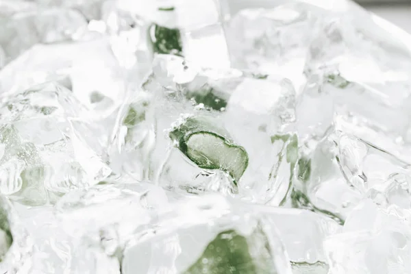 Eiswürfel Mit Gefrorener Aloe Inneren Nahaufnahme — Stockfoto