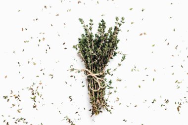 Beyaz arka plan üzerinde izole yeşil aromatik otlar demet