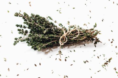 Beyaz arka plan üzerinde izole yeşil aromatik otlar demet