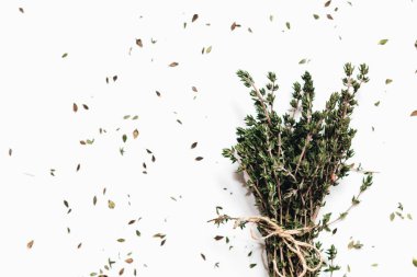 Beyaz arka plan üzerinde izole yeşil aromatik otlar demet