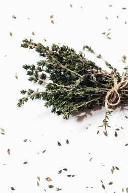 Beyaz arka plan üzerinde izole yeşil aromatik otlar demet