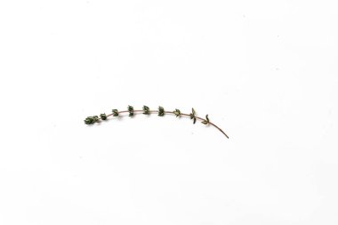 Beyaz arka plan üzerinde izole yeşil aromatik bitki düz lay