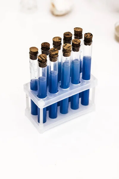 Reagenzgläser Mit Blauer Flüssigkeit Isoliert Über Weißem Hintergrund — Stockfoto