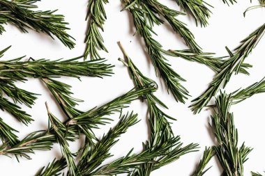 Beyaz arka plan üzerinde izole taze yeşil biberiye twigs paterni 