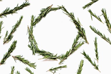 Beyaz arka plan üzerinde izole taze yeşil biberiye twigs yuvarlak çerçeve 