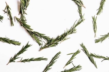 Beyaz arka plan üzerinde izole taze yeşil biberiye twigs yuvarlak çerçeve 