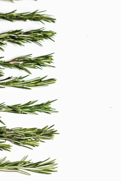 Flat Lay Fresh Green Rosemary Twigs Isolated White Background — Stock Photo, Image