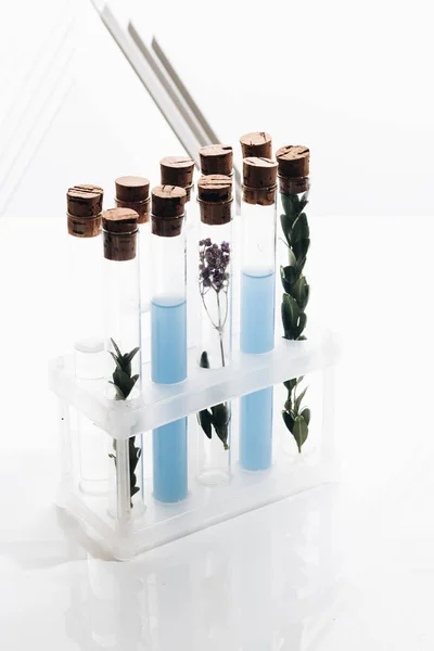Reagenzgläser Mit Blauer Flüssigkeit Und Pflanzen Auf Weißem Hintergrund — Stockfoto